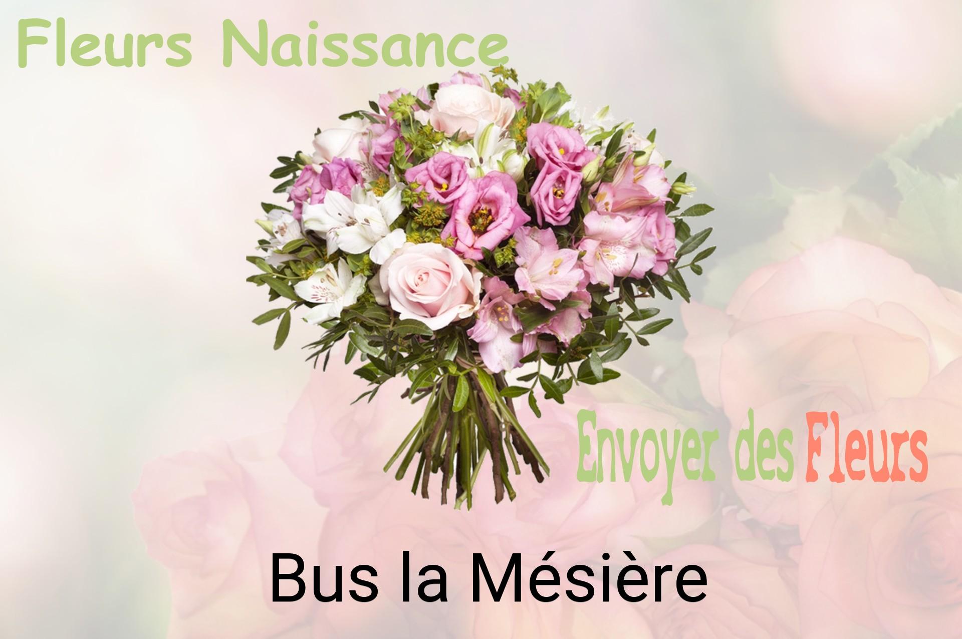 Bouquet de fleurs de naissance livré à Bus-la-Mésière